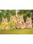 Sylvanian Families Çizgili Kedi Ailesi - Striped Cat Family 4