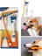 Kedi Köpek Diş Fırçası ve Diş Macunu Seti Yenilebilir Diş Macunu Dental Kit Ağız ve Diş Sağlık Seti 1