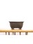 Sırsız Mokko Bonsai Saksısı No.5 (17 Cm) 2