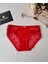 Arya Japon Style Arkası Tül Cut-Out Dantel Detaylı Cheeky KÜLOT/SLIP-2853 1