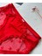 Arya Japon Style Arkası Tül Cut-Out Dantel Detaylı Cheeky KÜLOT/SLIP-2853 3
