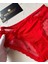 Arya Japon Style Arkası Tül Cut-Out Dantel Detaylı Cheeky KÜLOT/SLIP-2853 4