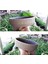 Londra Dizayn Beton Aranjman ve Bonsai Saksısı Çiçek Desen Ağız Çap 20-30 cm Çap 1