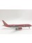 Rındu Kung Fu Panda 787 Boeing 20CM Alaşımlı Uçak Modeli (Yurt Dışından) 2