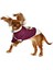 Küçük ve Orta Irk Köpek Sweatshirt - Ingo Mor - Köpek Kıyafeti 1