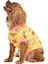 Küçük ve Orta Irk Köpek Sweater - Bargum 1