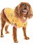 Küçük ve Orta Irk Köpek Sweater - Bargum 4