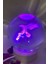3D LED Işık Cam Küre Çok Işıklı Ahşap Kartal Kara Kartal Büyük Boy 8cm 1