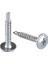 Pul Başlı Akıllı Vida 3.9X16 mm (100 Adet) 1