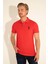 U.S. Polo Assn. Erkek Kırmızı Tişört Basic 50284633-VR030 4