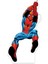 Spiderman Ayaklı Pano Model 03 - 34X18 cm 1