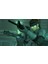 Switch Metal Gear Solid Master Collection Vol. 1 3