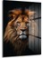 Aslan Portresi̇ Dekorati̇f Di̇key Cam Tablo 1