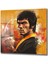 Bruce Lee Kare Cam Tablo 2