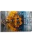 Bitcoin Cam Tablo 1