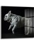French Bulldog Cam Tablo 1