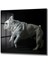 French Bulldog Cam Tablo 2
