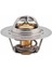 VER-TH5108.89 Termostat R11-FLASH-R9-R19 Dzl-Lgn 93-01... 1