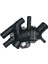 VER-TH632089 Termostat Komple Kng-Mgn-Clıo Iı-Lgn 1.9 ... 1
