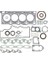 Reınz RNZ-01-29160-01 x Motor Takım Conta Jumper-Boxer 2.5 D 1