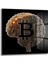 Bitcoin Beyin Kare Cam Tablo 1