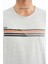 Stew Gri Melanj O Yaka Erkek T-Shirt - 88229 4
