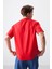 Fiesta Pamuklu Kalın Yumuşak Dokulu Oversize Fit Baskılı Erkek T-Shirt - 88376 5