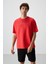 Fiesta Pamuklu Kalın Yüzeyi Dokulu Oversize Fit Baskılı Erkek T-Shirt - 88371 1