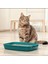 Para Gatos Kokusuz Toz Yapmayan Topaklanan Kedi Kumu 10 Lt 4