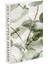 572 Eucalyptus Shades 1