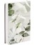 572 Eucalyptus Shades 2