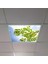 60X60 LED Panel Aydınlatma Armatür Avize Sıva Altı Desenli Tekli 46510501SA 1