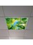 60X60 LED Panel Aydınlatma Armatür Avize Sıva Altı Desenli Tekli 46510383SA 1