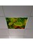 60X60 LED Panel Aydınlatma Armatür Avize Sıva Altı Desenli Tekli 46510369SA 1