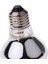 Kızı Evcil Isıtıcısı Kış Isıtıcısı 50W (Yurt Dışından) 4