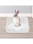 Hamster Chinchilla Bunny Gri 11X11X8IN Için Tavşan Tuvalet Kafesi (Yurt Dışından) 3