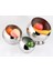 Paslanmaz Çelik Meyve , Salata , Yuvarlak , Birçok Şekil Seçeneğ (Yurt Dışından) 4