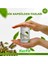 Trexta Trexcap Hızlı Detoks1 Aylık Kurfit 1
