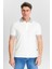 Erkek Regular Fit Polo Tişört 5