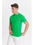 Erkek Regular Fit Polo Tişört 4