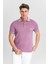 Erkek Regular Fit Polo Tişört 1