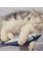 Kedi Oyuncağı 3