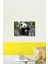 Ulusal Hayvanat Bahçesinde Dev Panda Bei Bei Tablo Ahşap Poster Dekoratif 2