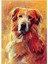 Golden Retriever Köpeği #retriever #hayvanlar Tablo Ahşap Poster Dekoratif 1