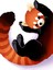 Red Panda Tablo Ahşap Poster Dekoratif 1