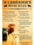 Bir Labrador'd Evi Kuralları Tablo Ahşap Poster Dekoratif 1