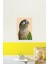 Yeşil Yanak Conure Tablo Ahşap Poster Dekoratif 2