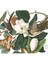Kara Gagalı Guguk Kuşu - John James Audubon Tablo Ahşap Poster Dekoratif 1