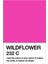 Wildflower Pantone Renk Örneği Tablo Ahşap Poster Dekoratif 1