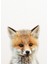 Baby Fox, Baby Animals Sanatsal Baskı Synplus Tablo Ahşap Poster Dekoratif 1